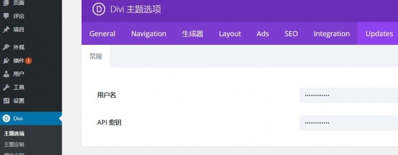 Divi主题填写API设置自动更新