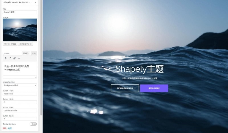 Shapely主题首页设置