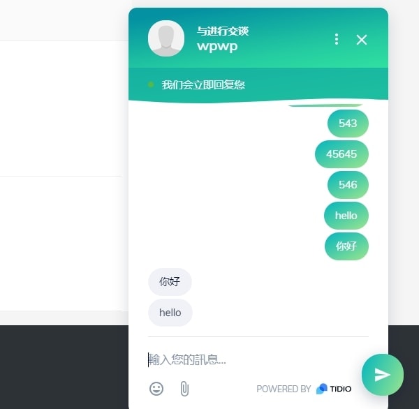 Tidio Live Chat前端界面