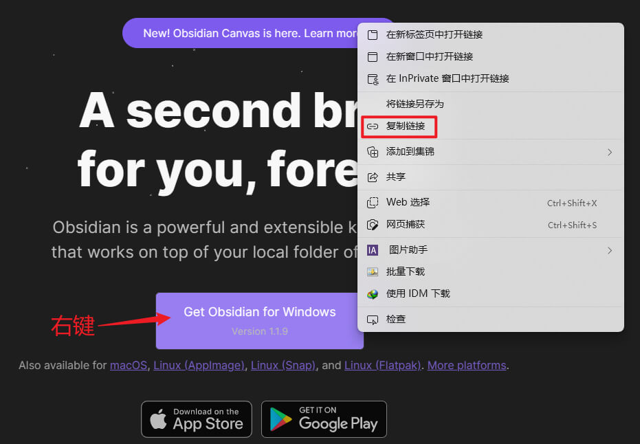 obsidian笔记软件官网下载巨慢，无法成功下载怎么办？5